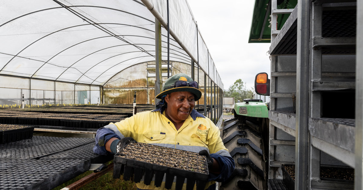 Withcott Seedlings Racking Careers | Withcott Seedlings